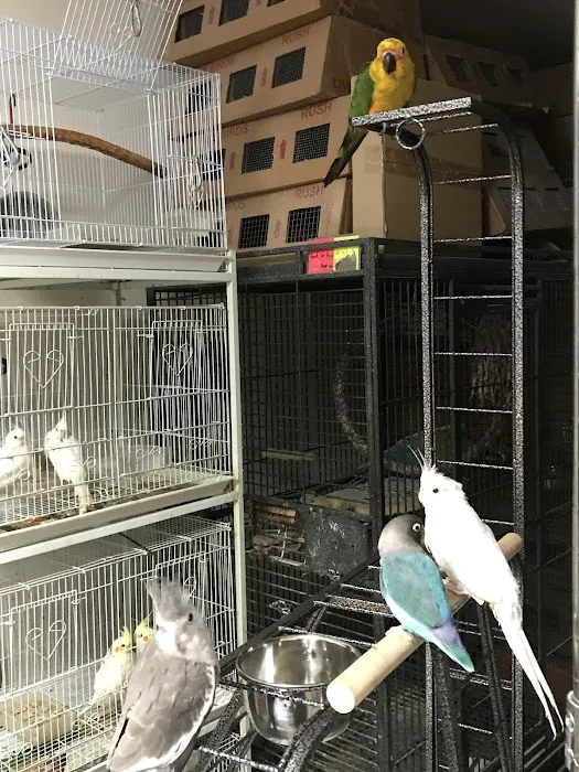 King Pet Shop Picture 10