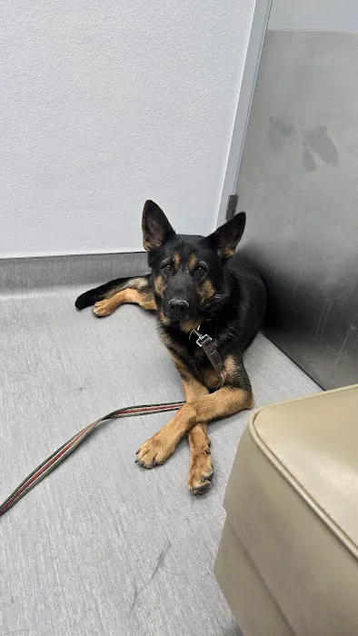 Agua Fria Animal Hospital Picture 5