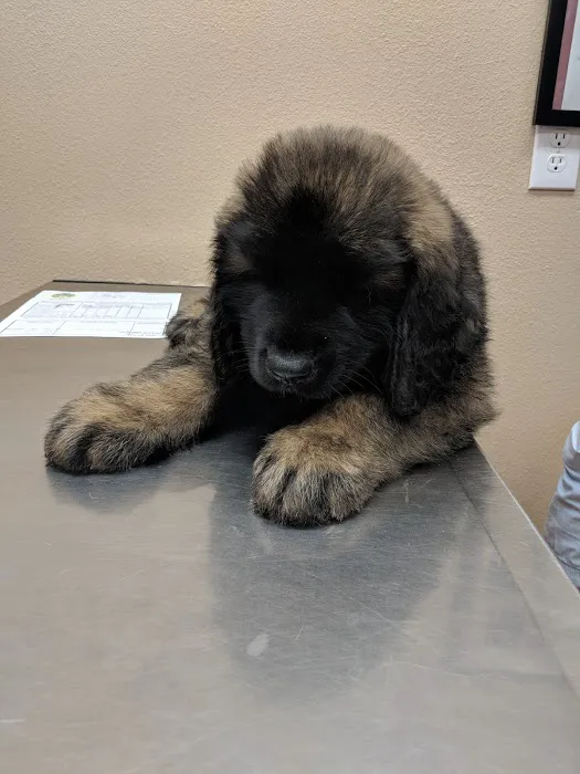 Agua Fria Animal Hospital Picture 8