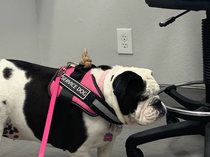 Agua Fria Animal Hospital Picture 3