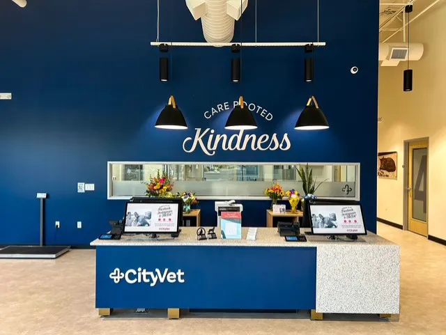 CityVet | Goodyear Picture 8