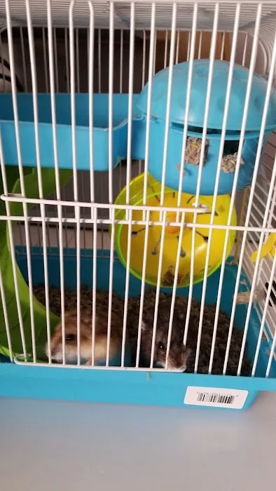 Pet Shop JC Gomez Picture 3