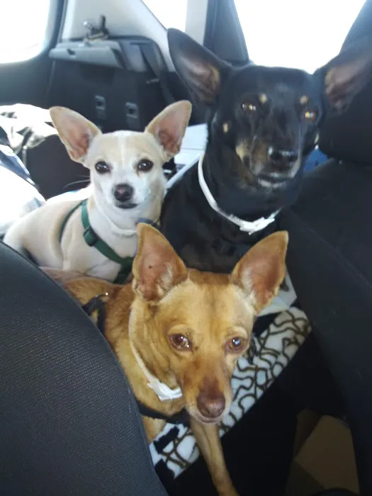 Tempe Pet Clinic Picture 3