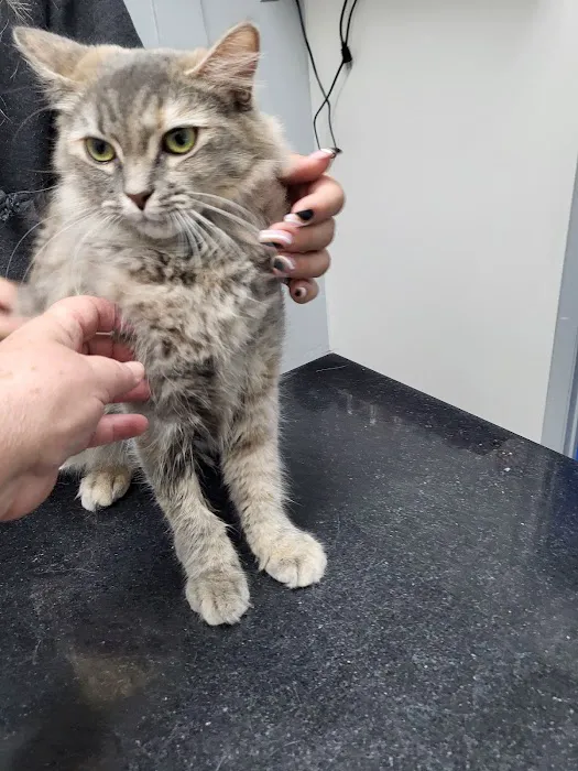 Tempe Pet Clinic Picture 2
