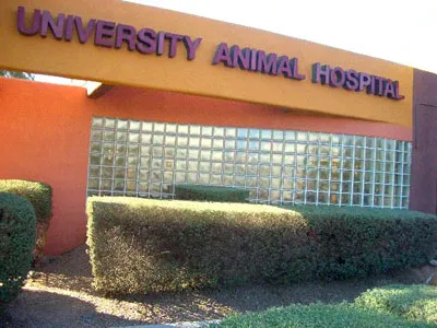 VCA University Animal Hospital Picture 9