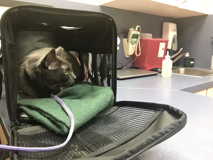 VCA University Animal Hospital Picture 8