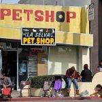 La Selva Pet Shop