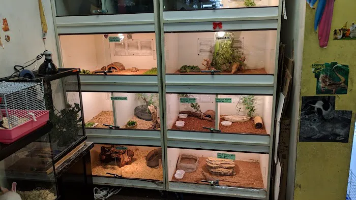La Selva Pet Shop Picture 2