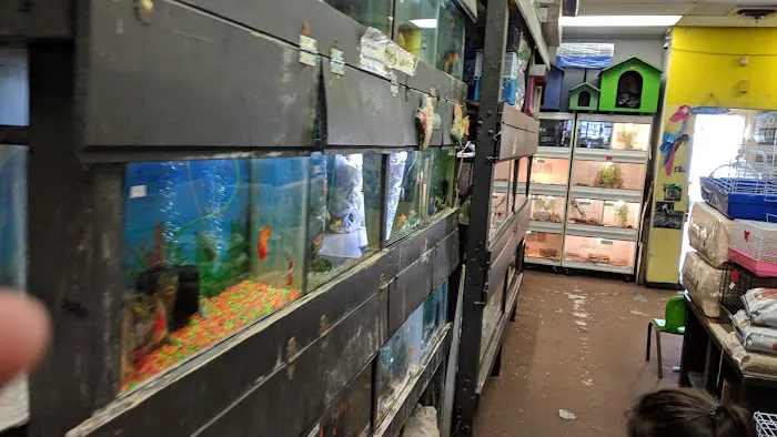 La Selva Pet Shop Picture 6
