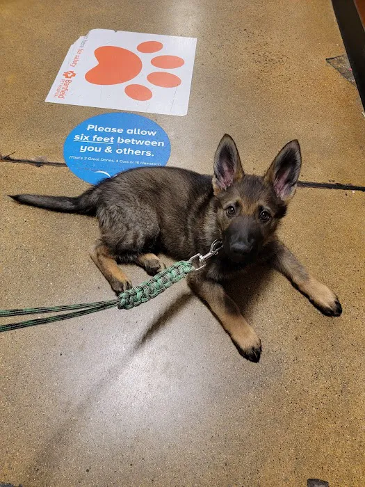 Banfield Pet Hospital Picture 2