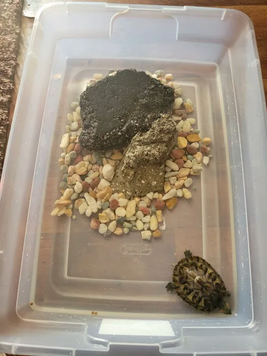 Royal Pet Center Picture 4