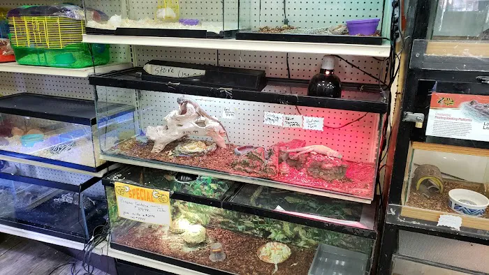 Royal Pet Center Picture 6