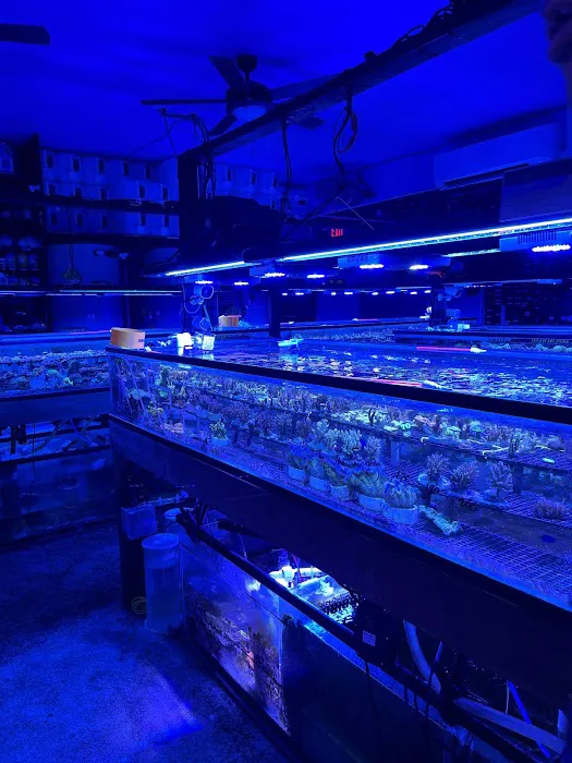 Ellis Aquatics Picture 10