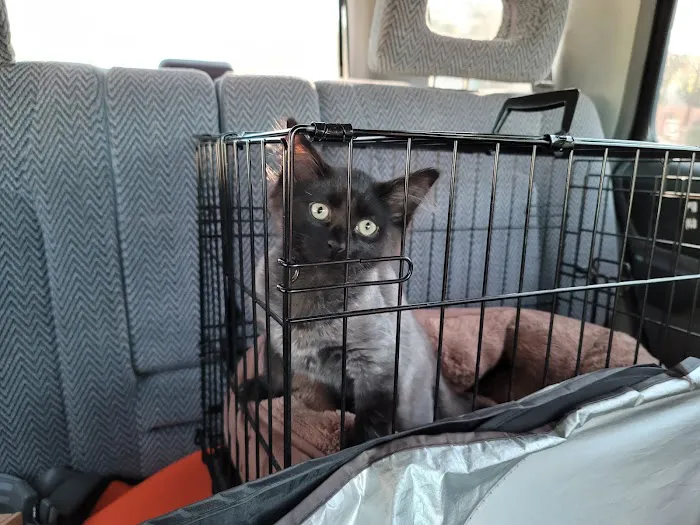 Tempe Veterinary Hospital Picture 5