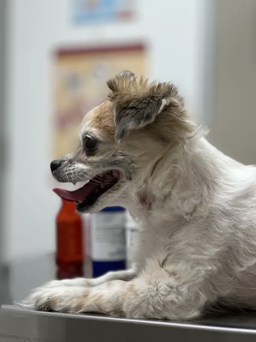 Baseline Animal Clinic Picture 3