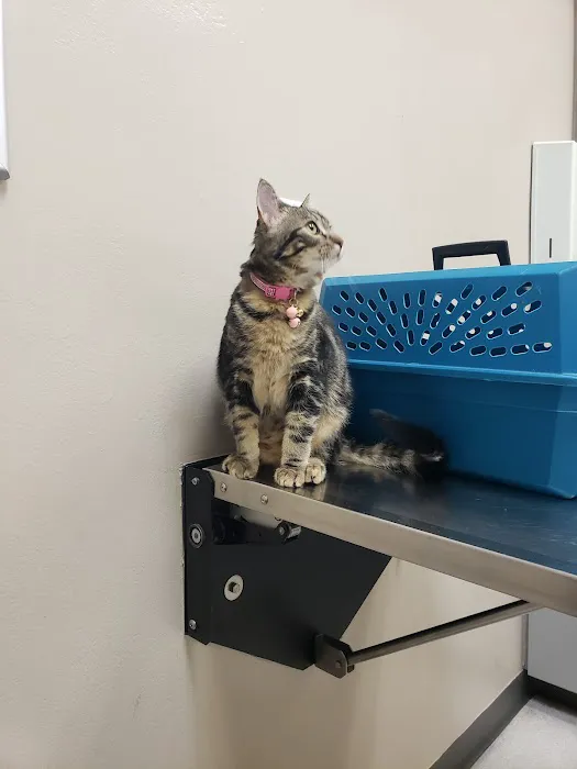 Baseline Animal Clinic Picture 1