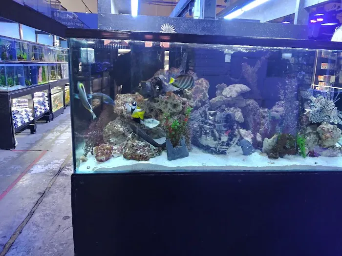 LAX Aquarium Picture 3
