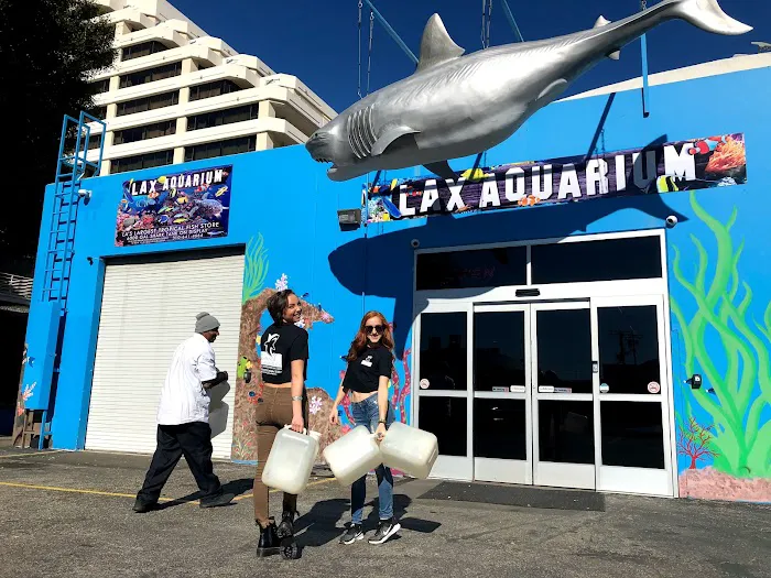 LAX Aquarium Picture 5