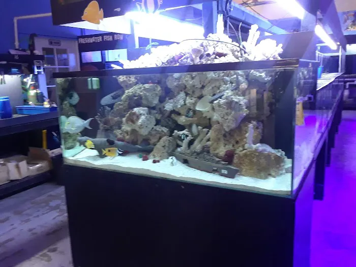 LAX Aquarium Picture 9