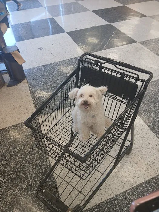 Petco Picture 6