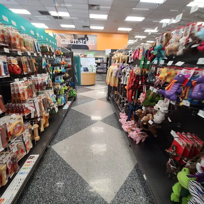 Petco Picture 7
