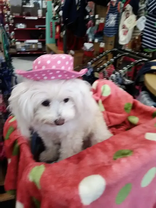 Petco Picture 9