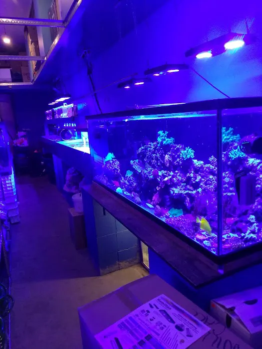 Deep Blue Aquarium Picture 1