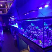 Deep Blue Aquarium ico