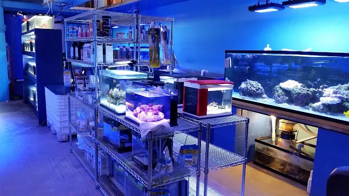Deep Blue Aquarium Picture 4