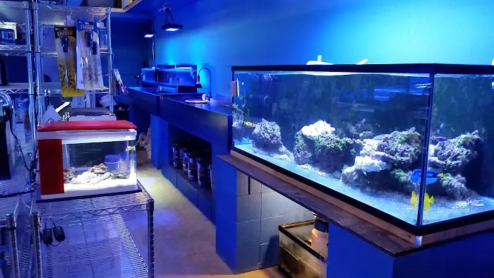 Deep Blue Aquarium Picture 6