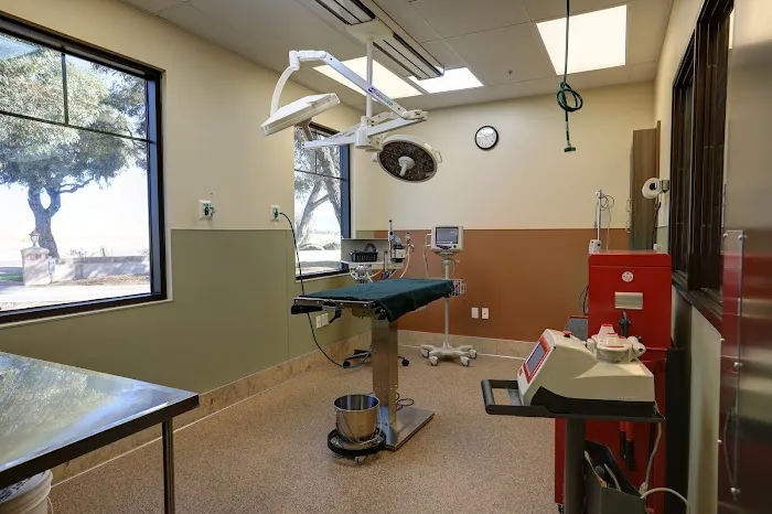 Applewood Animal Hospital Picture 5