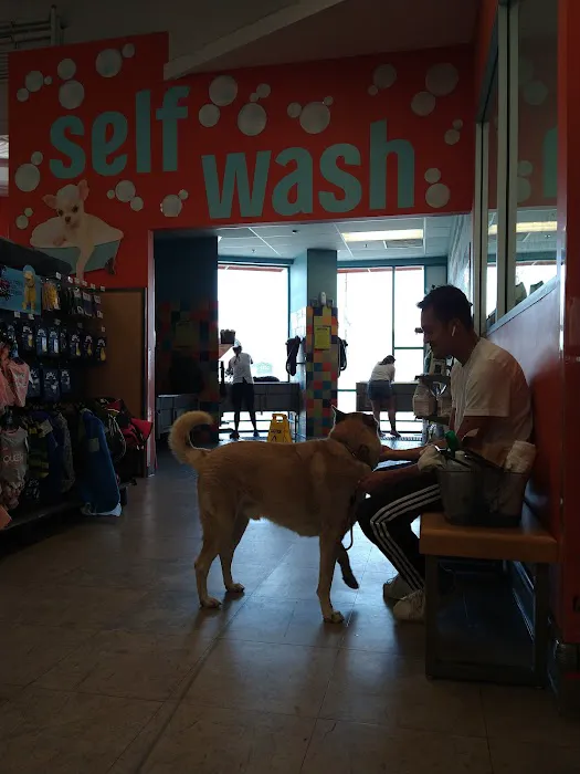 Unleashed by Petco Picture 6