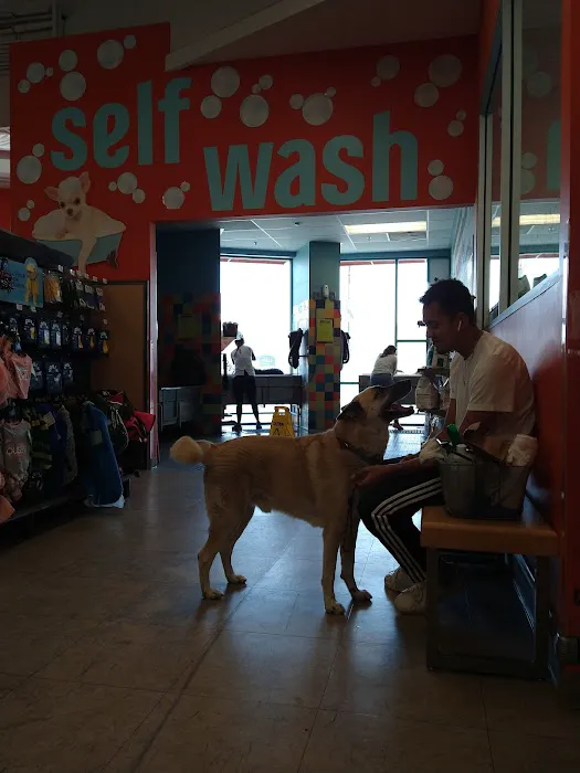 Unleashed by Petco Picture 5