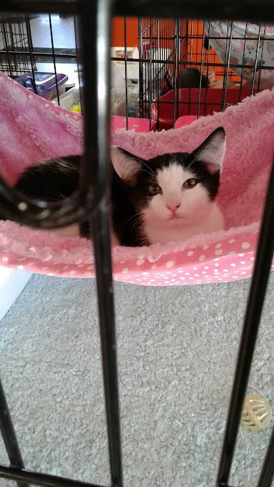 Unleashed by Petco Picture 10