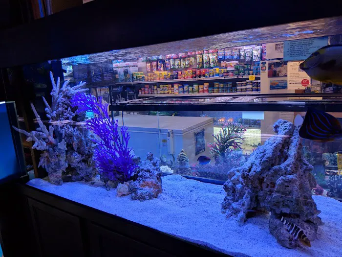 Mark's Tropical Fish Picture 3