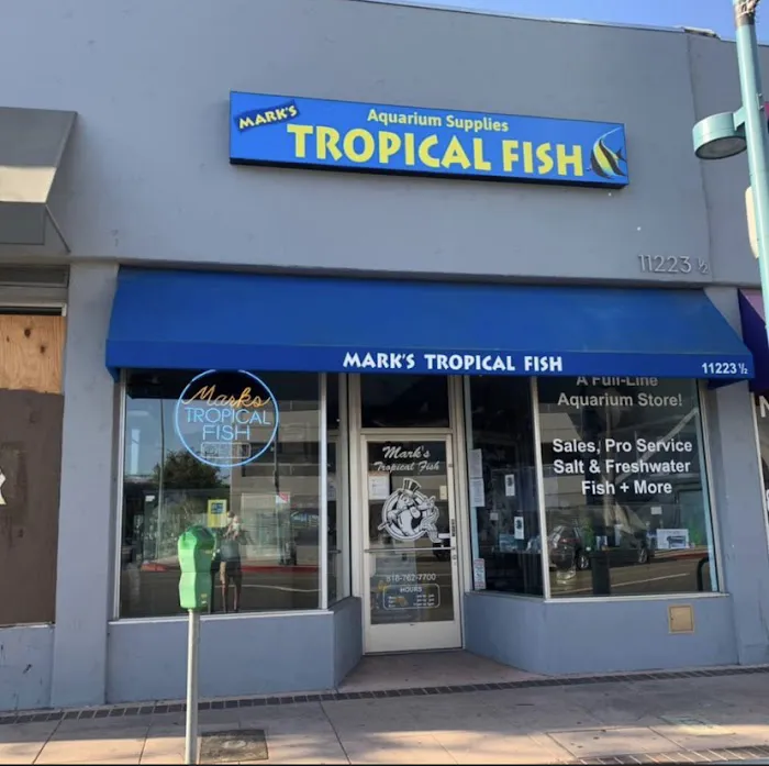 Mark's Tropical Fish Picture 7