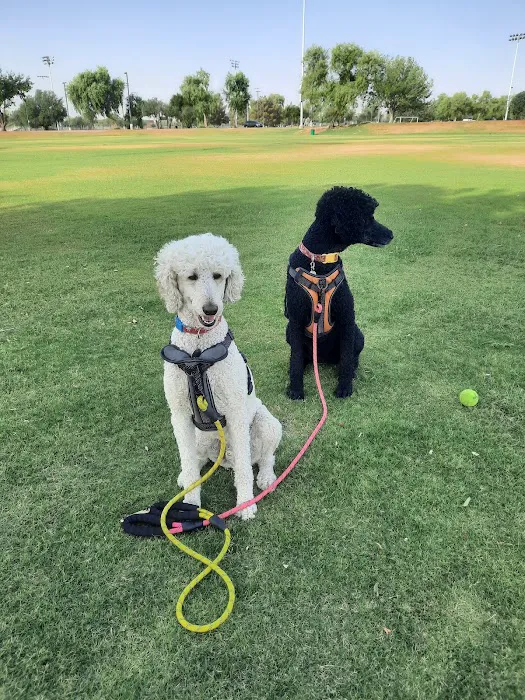 Tempe Lake Veterinary Clinic & Pet Resort Picture 2
