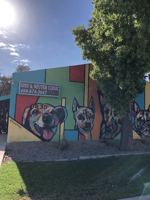Arizona Spay & Neuter Clinic Your Low Cost Vet of Scottsdale Picture 1