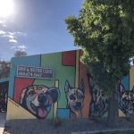 Arizona Spay & Neuter Clinic Your Low Cost Vet of Scottsdale