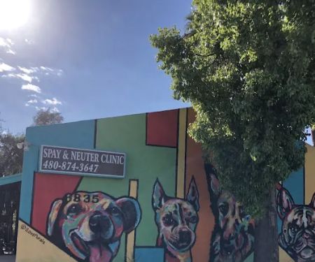 Arizona Spay & Neuter Clinic Your Low Cost Vet of Scottsdale