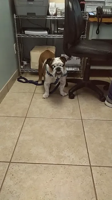 Arizona Spay & Neuter Clinic Your Low Cost Vet of Scottsdale Picture 7