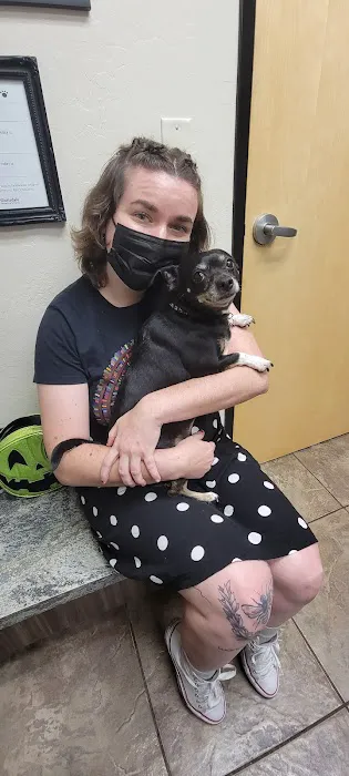 Scottsdale Veterinary Clinic Dental & Surgery Center Picture 2