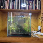 Zan's Aquatica