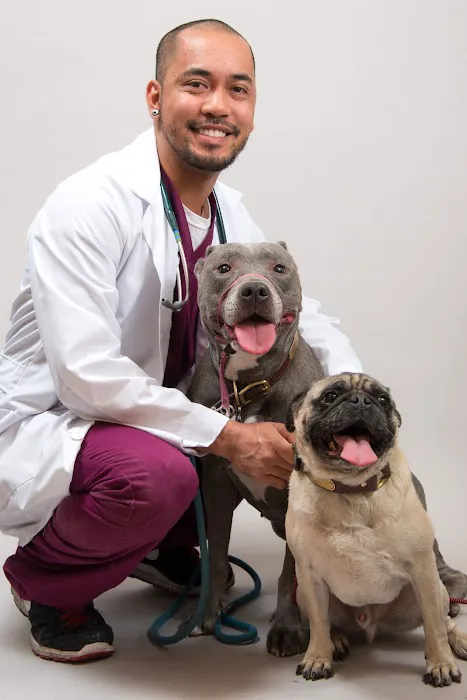 The Scottsdale Veterinary Clinic Picture 3