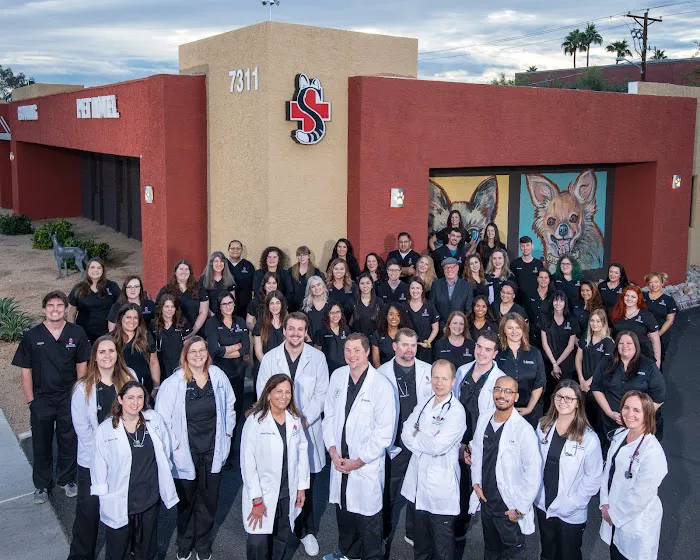 The Scottsdale Veterinary Clinic Picture 8