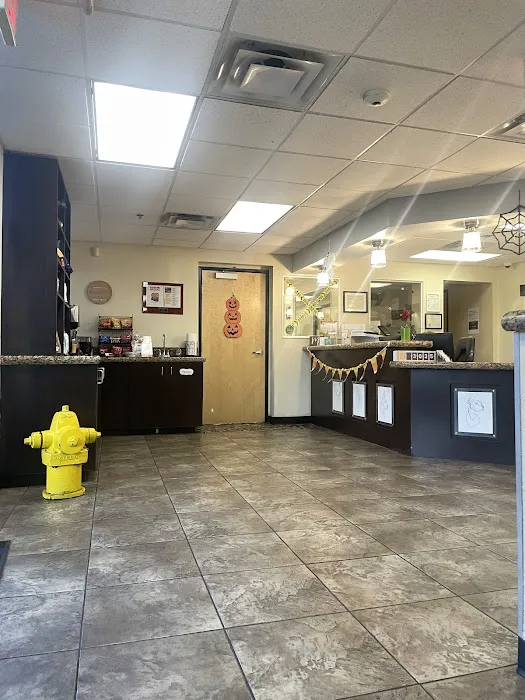 The Scottsdale Veterinary Clinic Picture 5