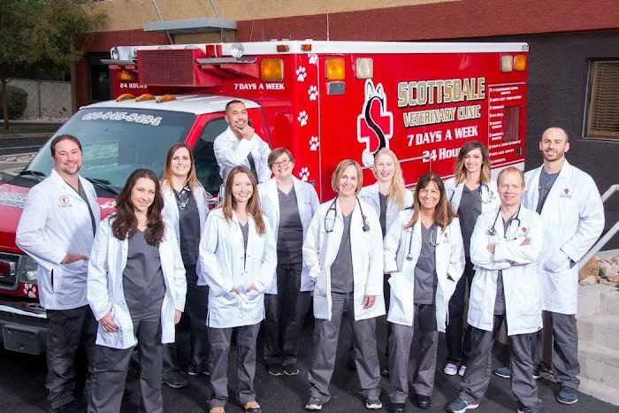 The Scottsdale Veterinary Clinic Picture 9