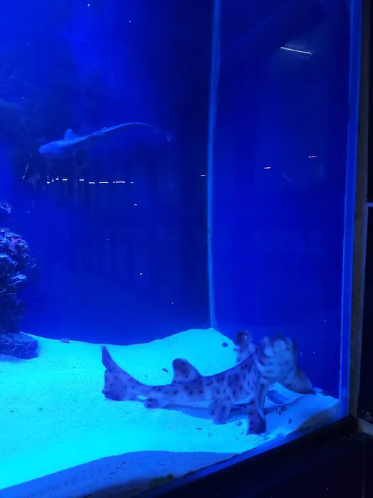 theaquariumservice.com Picture 5