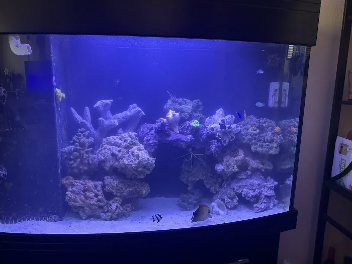 theaquariumservice.com Picture 3