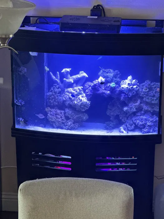theaquariumservice.com Picture 1